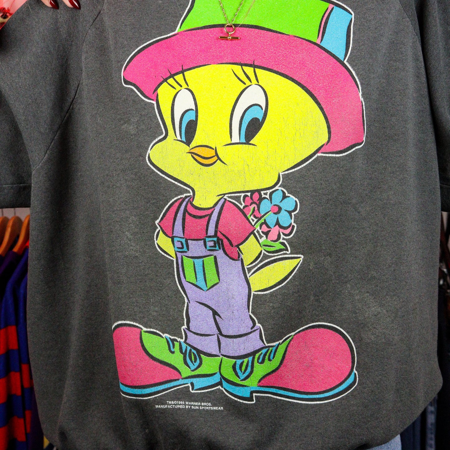 1995 Looney Tunes Tweety Bird Crewneck (L)