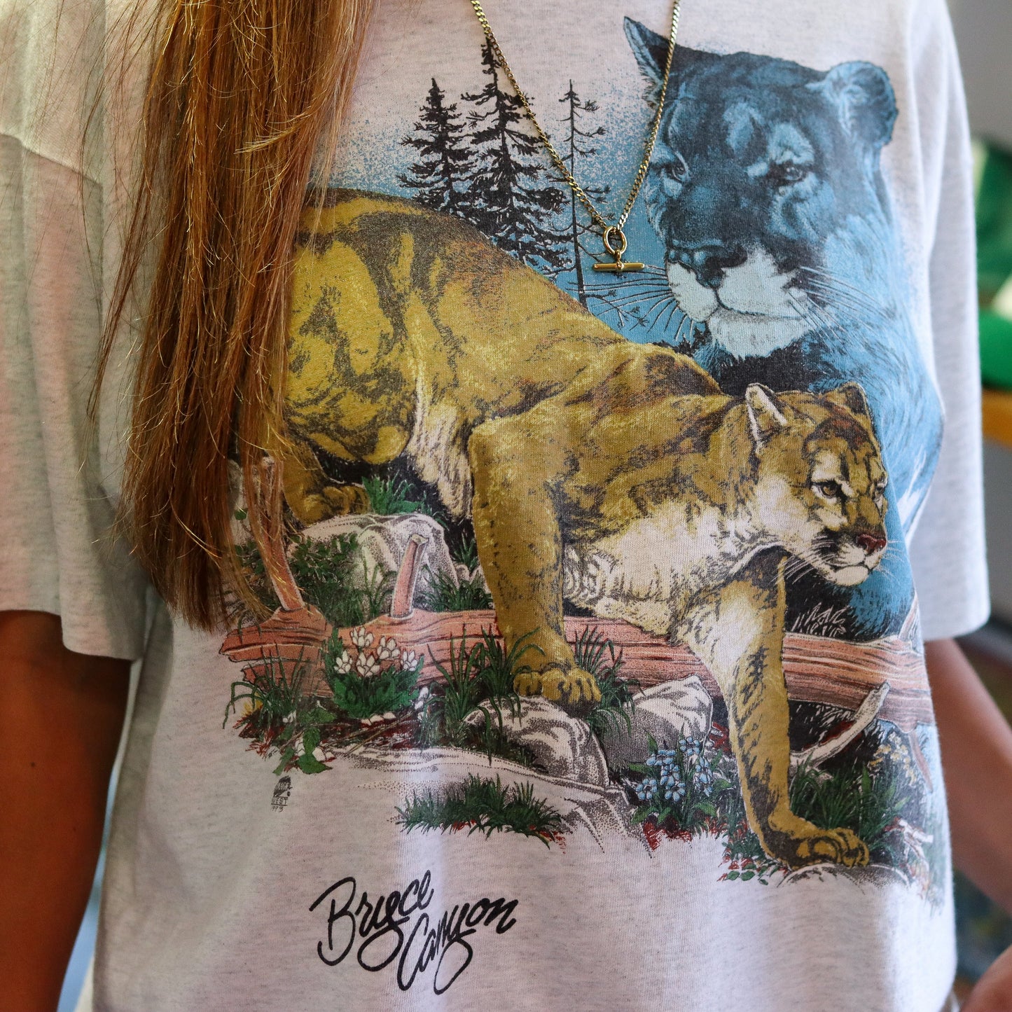 Bryce Canyon Graphic T-Shirt (XL)